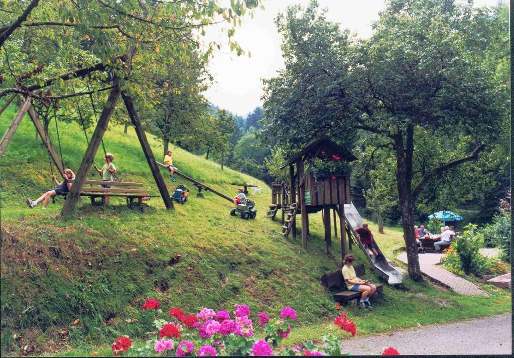 Spinnertonihof Bad Peterstal-Griesbach Extérieur photo