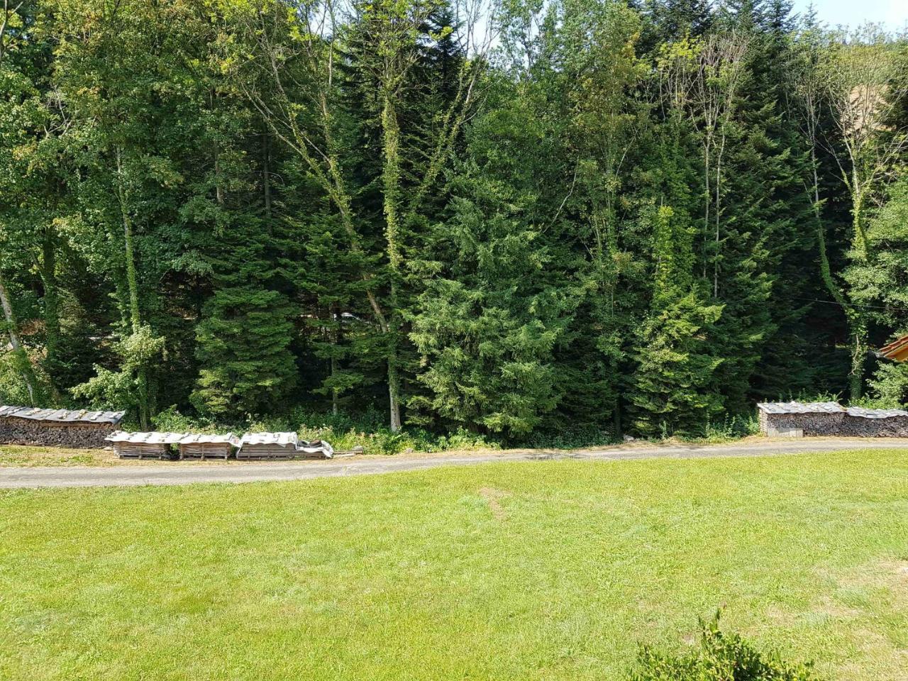 Spinnertonihof Bad Peterstal-Griesbach Extérieur photo